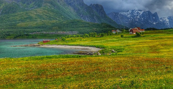 Lofoten_Norway_June 2021__OnePlus 5__1/643s_f/1.7_ISO160_4.1mm